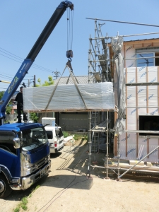 CIMG2020 (1500x2000).jpg